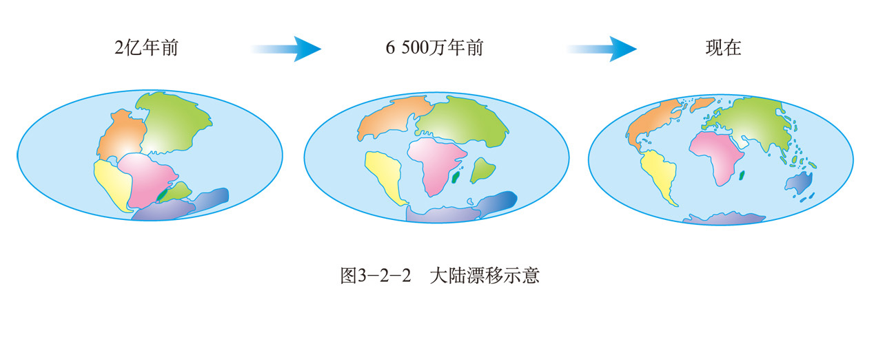 板块漂移学说图片